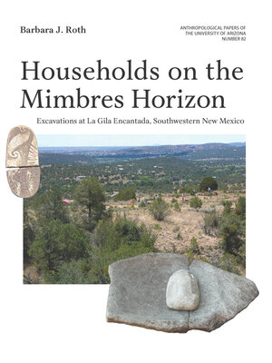 cover image of Households on the Mimbres Horizon